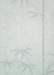 Bamboo #4